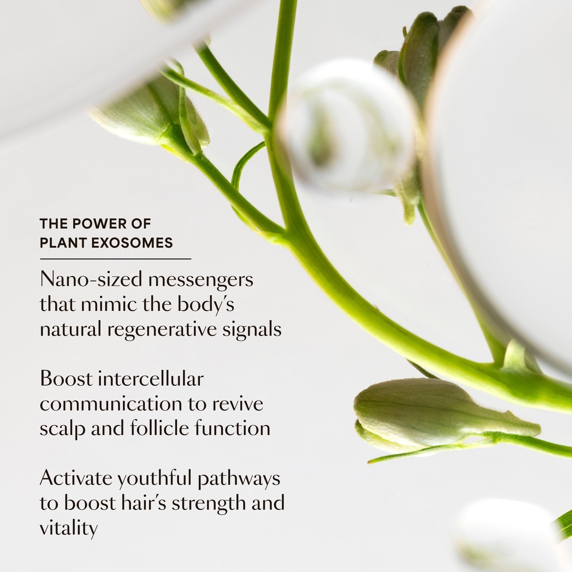 Sérum GRO pour la croissance des cheveux