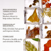 Compléments GRO+ Avancés — Croissance et Densité Capillaire