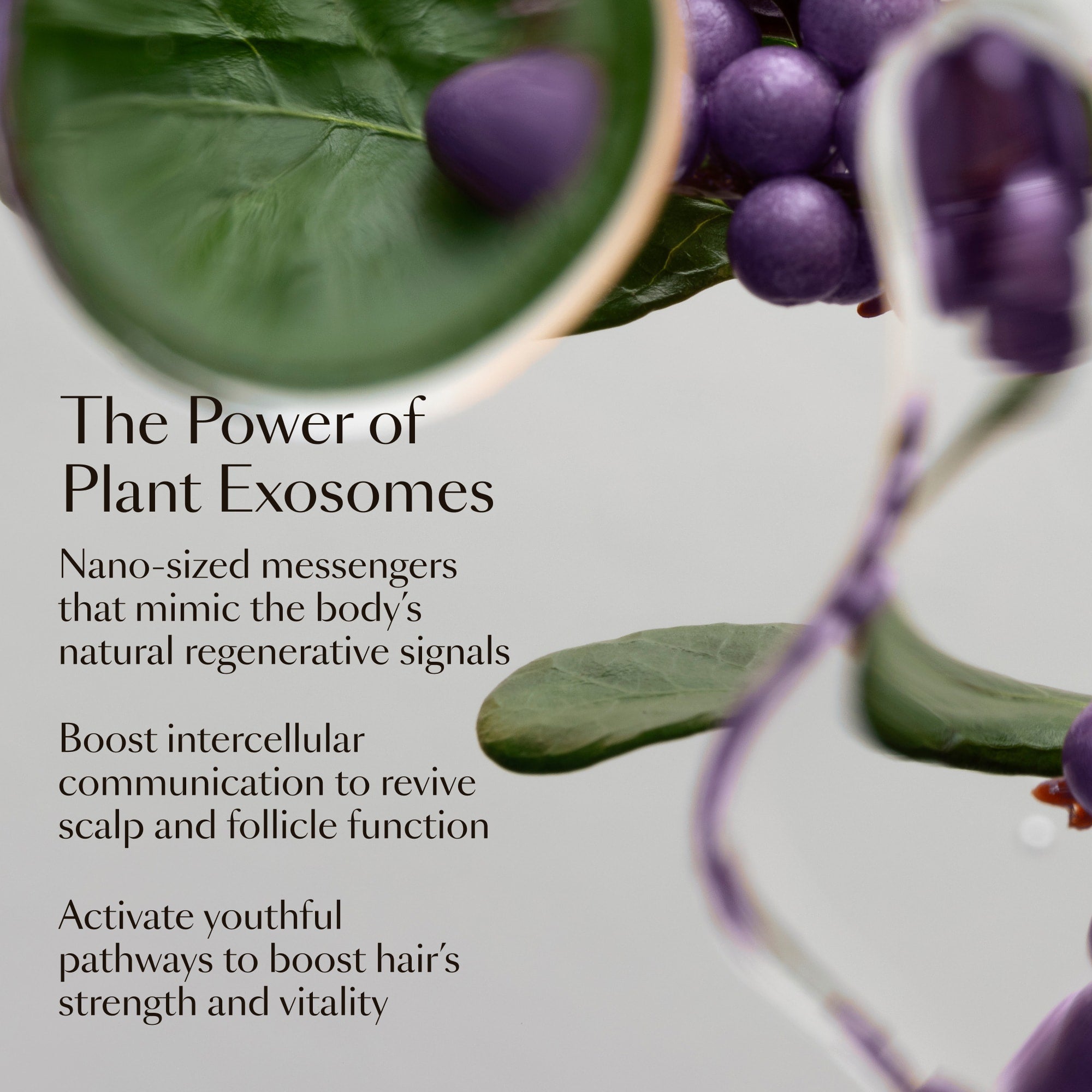 GRO+ Advanced — Sérum Croissance & Densité