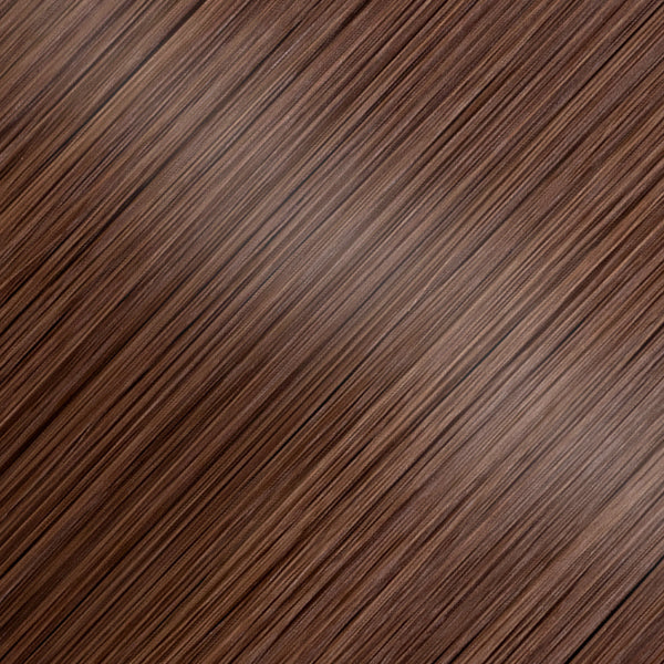 Queue de Cheval Lisse Instantanée - Pince Clip, 30s & Tenue Parfaite