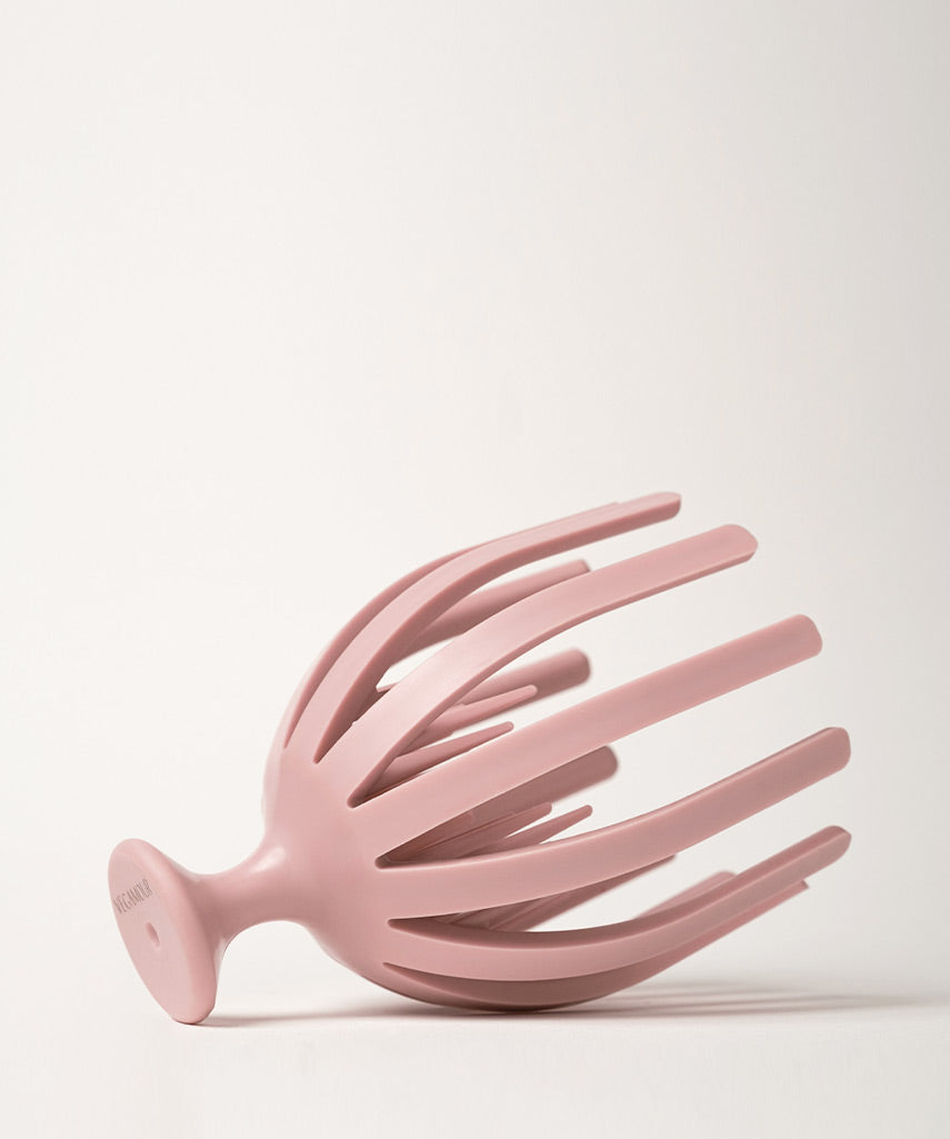 Brosse Massante & Exfoliante